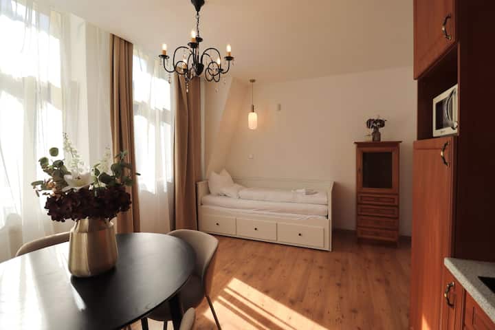 Apartmá Justina 1880 - Karlovy Vary