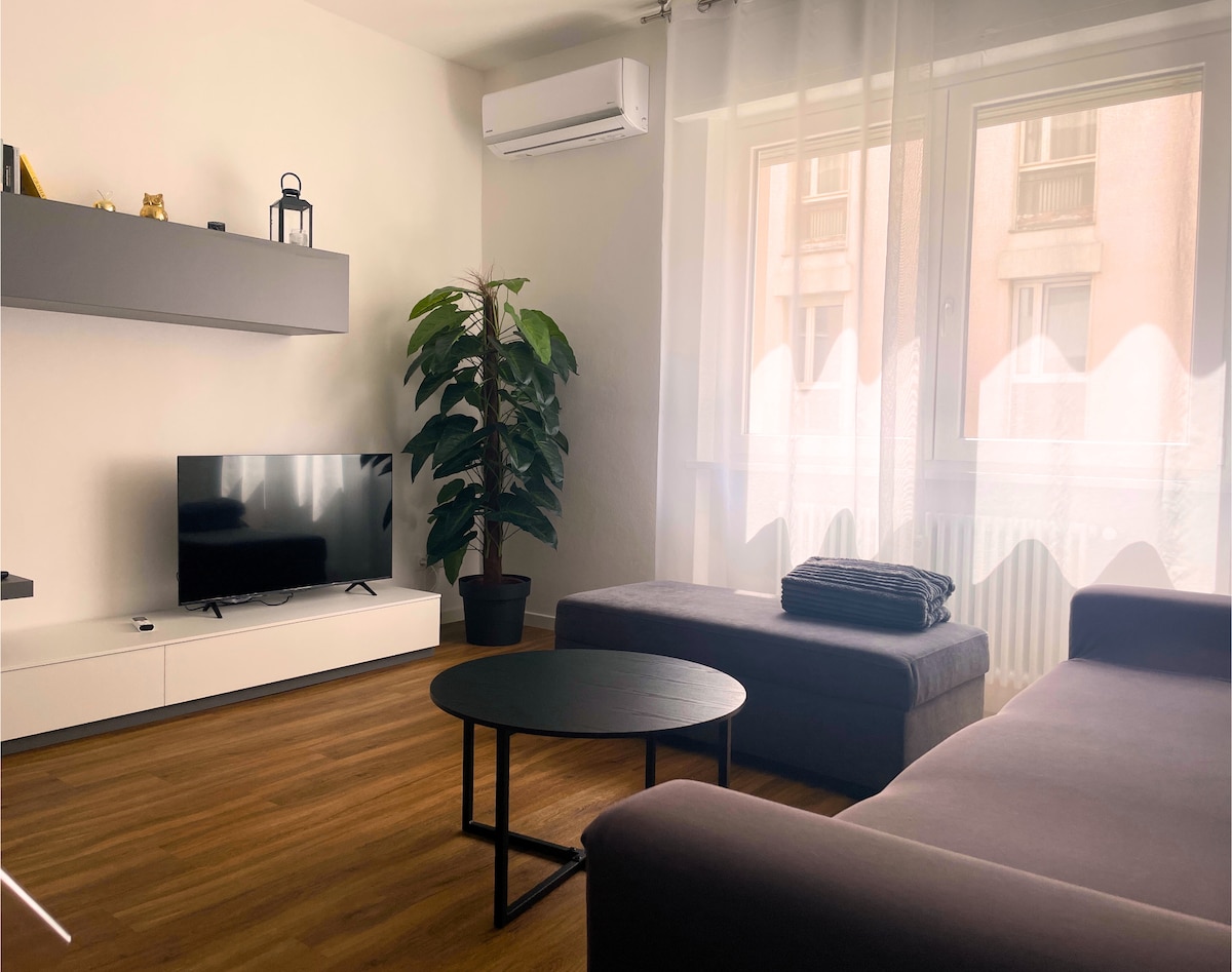 The living area is equipped with a modern TV situated on a low white cabinet. A dark coffee table is centered in front of a spacious gray sofa. Natural light filters through sheer curtains, enhancing the inviting space, complemented by a potted indoor plant.