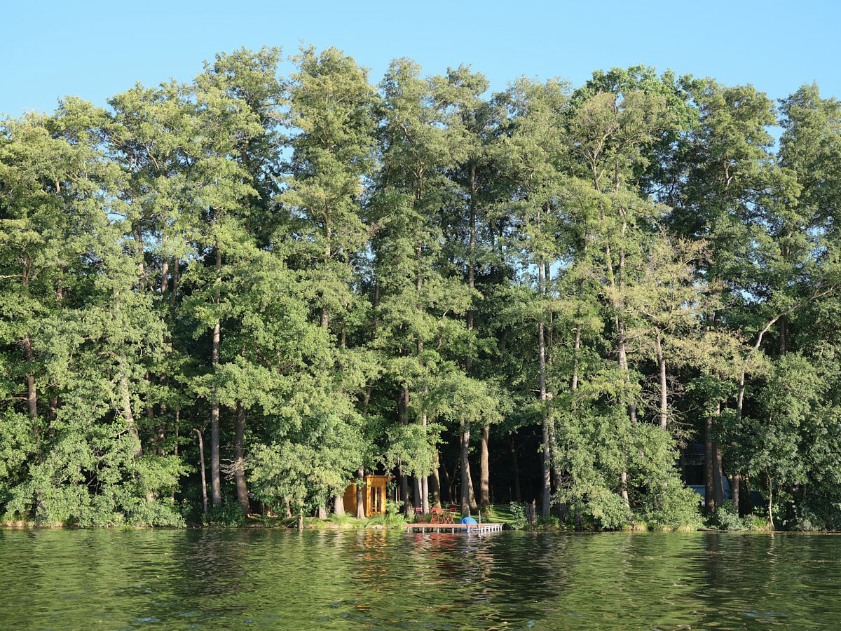 A serene lakeside view showcases a row of mature trees lining the water's edge. A modest private dock extends into the clear lake, hinting at the tranquil nature surrounding the area. The warm hue of the property's exterior can be glimpsed among the foliage.
