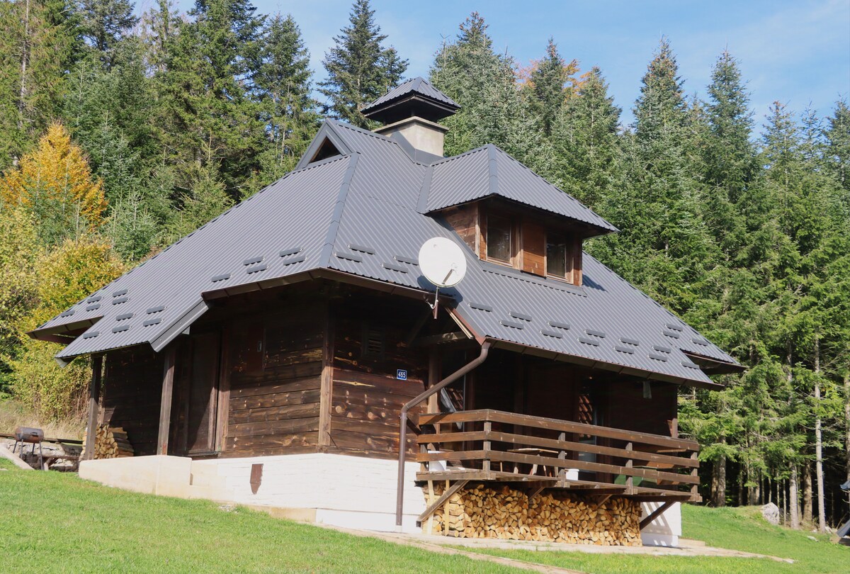 A rustic wooden cabin is set against a backdrop of green trees. The cabin features a gabled roof, a covered porch with railings, and a stack of firewood neatly arranged underneath. A satellite dish is mounted on the side, while large windows allow natural light to enter.