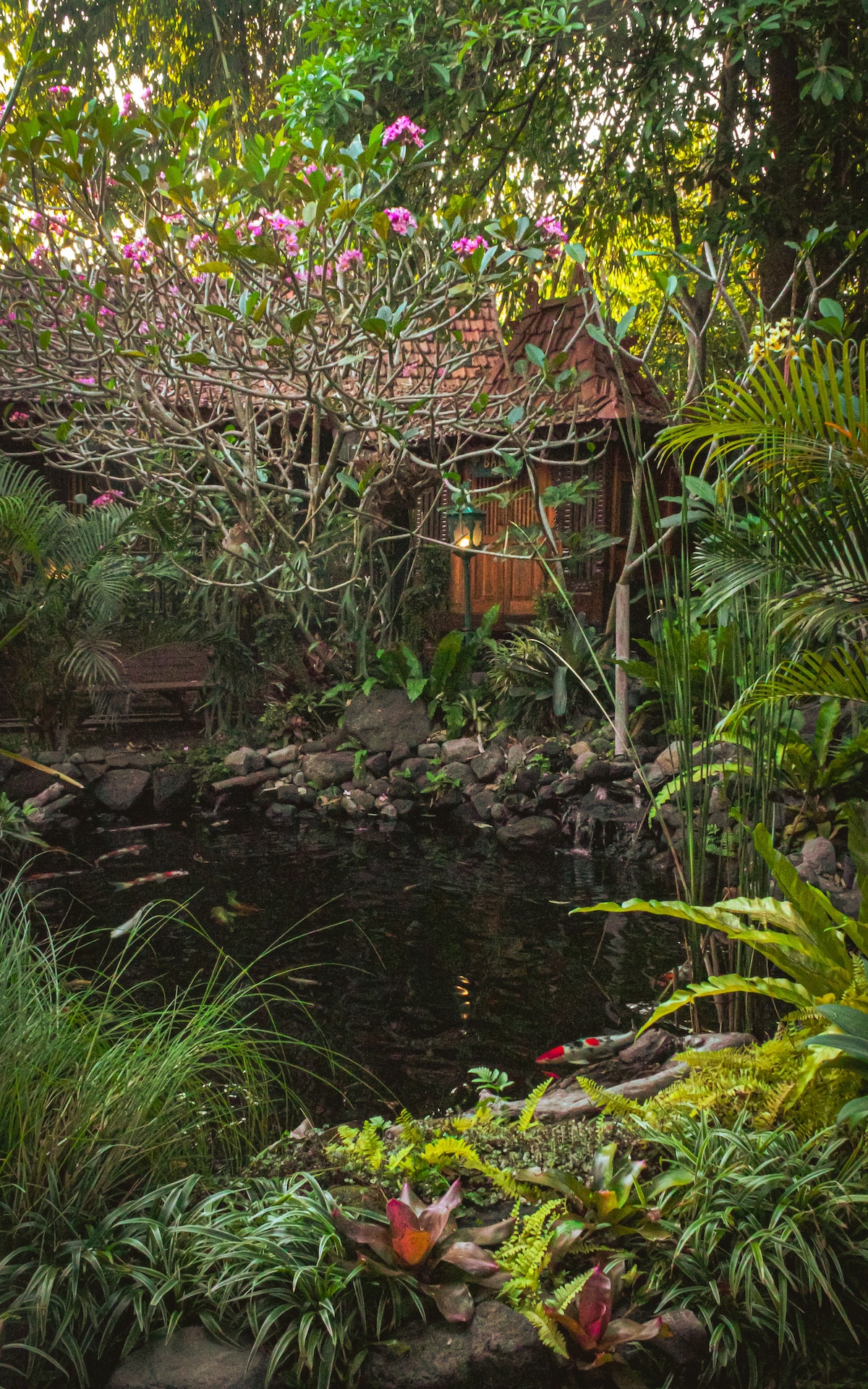 A lush garden is depicted, featuring a tranquil pond surrounded by various tropical plants and flowers. A wooden structure is partially visible in the background, complemented by a natural landscape that provides a serene ambiance.