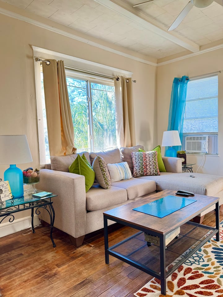 Near Beaches & Downtown/location, Location - St. Petersburg, FL