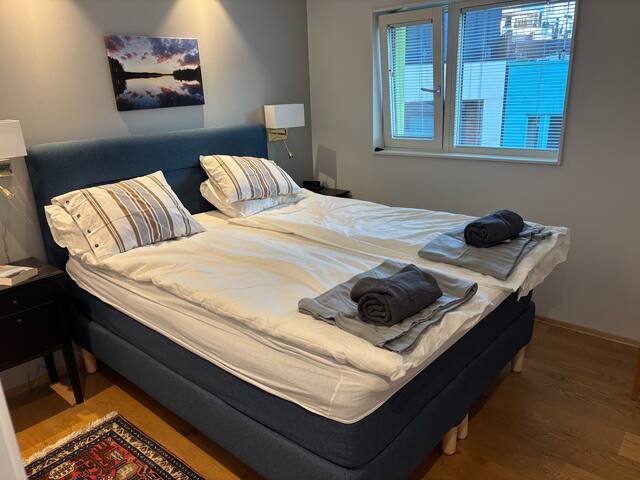 Modern waterfront apartment Oslo Center/Tjuvholmen gallery image 5