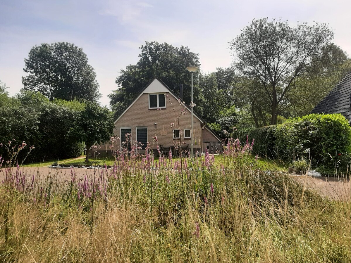 A charming vacation house is nestled among lush greenery, viewed through tall grass and wildflowers. Surrounding trees provide a natural backdrop, while a clear sky adds to the serene setting. The house features triangular rooflines and large windows, emphasizing its relaxed ambiance.