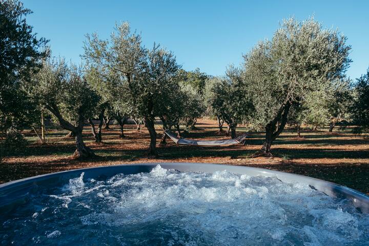 Dream villa with private pool and whirlpool gallery image 2