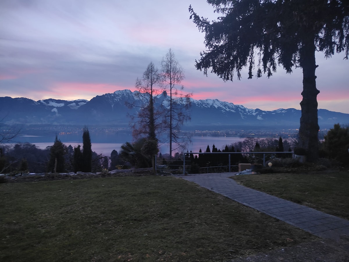 A serene landscape is displayed, featuring the Thunersee bordered by mountains. The sky is painted with soft hues of pink and purple. A grassy area leads to a stone pathway, flanked by trees, enhancing the peaceful ambiance of the outdoor space.