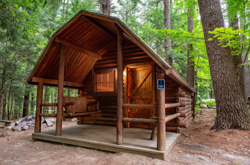 A cozy log cabin exterior is framed by towering trees, with a sloped roof and a welcoming porch. A wooden swing is positioned on the porch, inviting relaxation amidst the forest setting. Soft light emanates from the cabin's entryway.