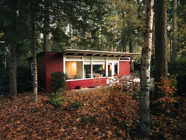 Natuurhuisje Het Jagertje - Vaassen