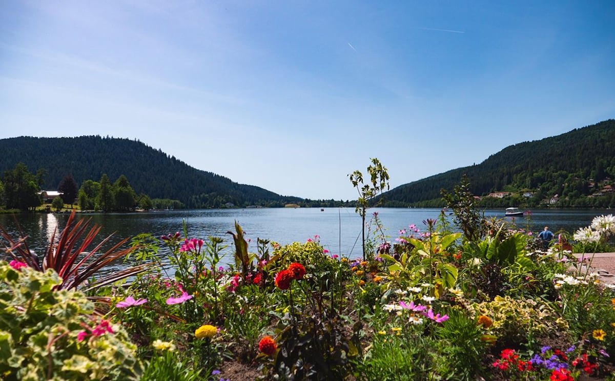 A scenic view of a tranquil lake surrounded by lush green mountains, framed by vibrant flower beds in the foreground. A variety of colorful flowers bloom along the water's edge, enhancing the natural beauty of the picturesque landscape under a clear blue sky.