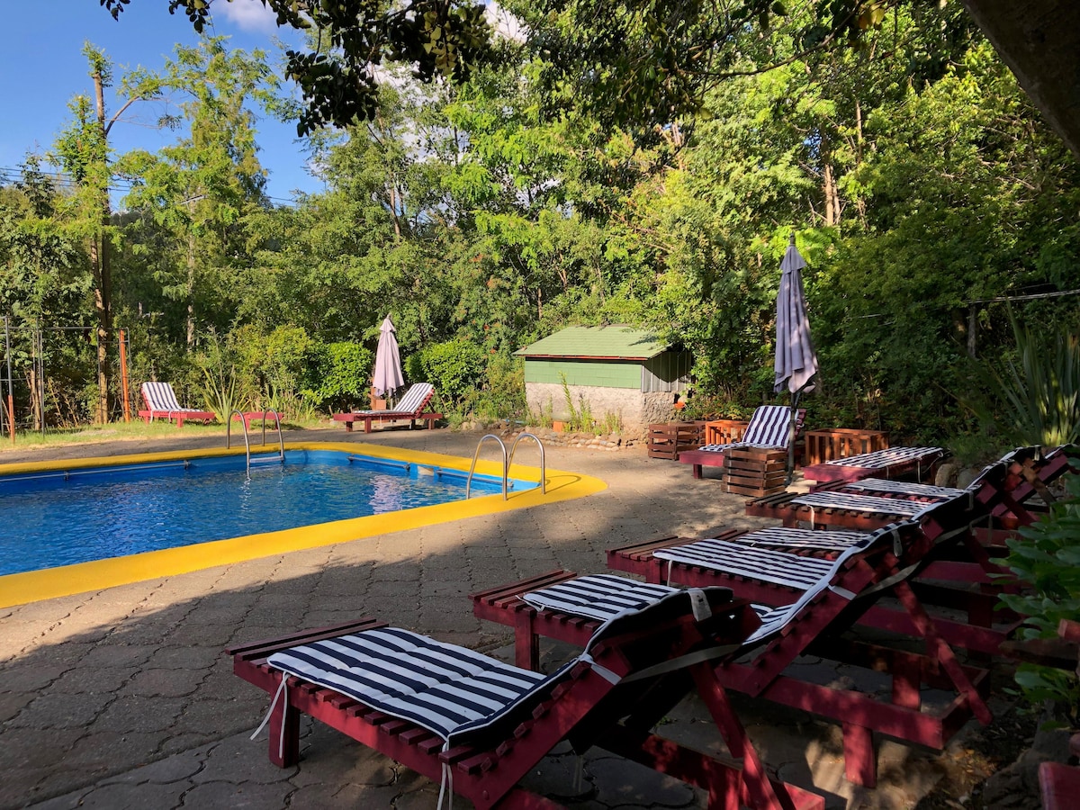 A rectangular swimming pool is surrounded by a paved area and lounges with black and white striped cushions. Shades are provided by umbrellas along the poolside, with greenery in the background enhancing the relaxing atmosphere.