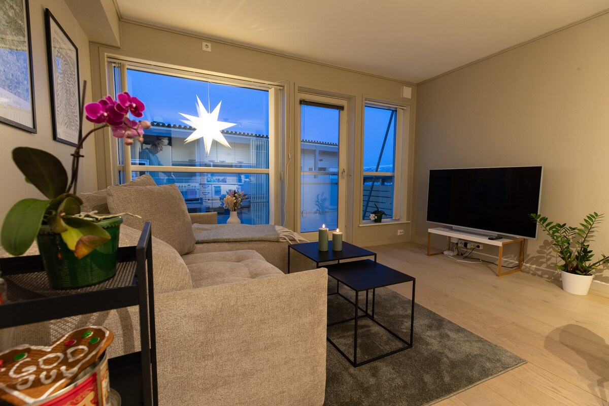 Curated visual reference: Gallery Detail: Apartment In Tromsø Apartments For Rent In Tromsø Troms Norway