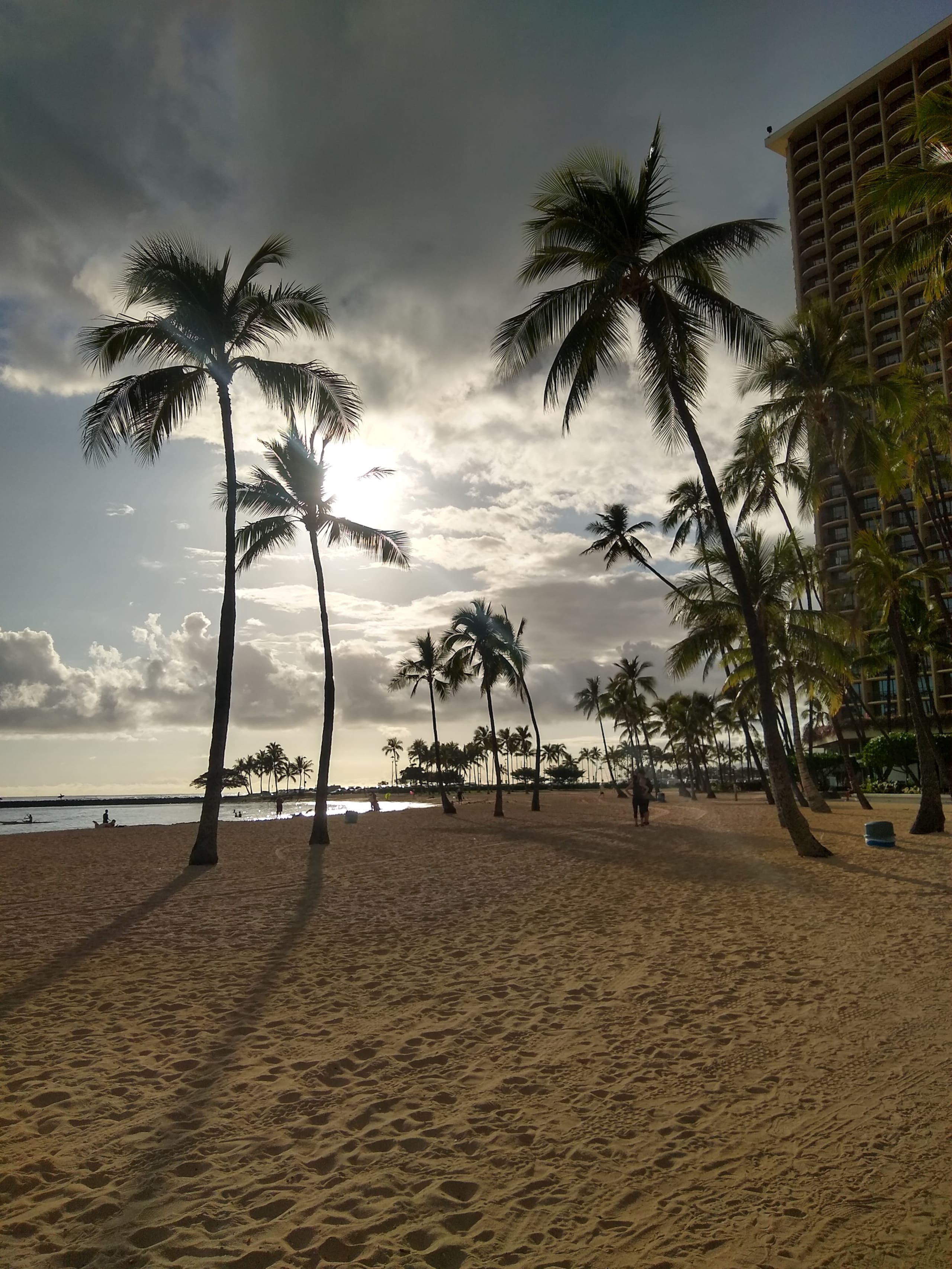 :1211 Hawaiian Palms: - Image 12