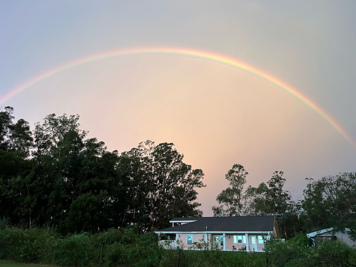 A gentle arching rainbow spans across a soft, pastel sky above a modern house. The structure is framed by lush greenery, with large windows showcasing a warm glow from within. The calm atmosphere is enhanced by the surrounding trees, complementing the natural setting.