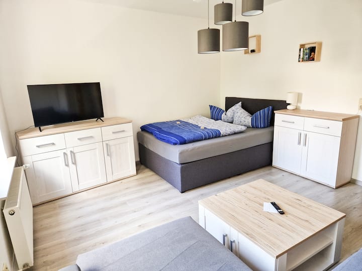 furnished 1-room apartment