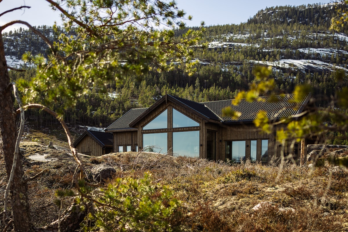 The exterior of a modern lakehouse is framed by lush greenery and rocky terrain. Large windows dominate the facade, reflecting the surrounding natural landscape. The building features a contemporary wooden design, harmonizing with the serene mountainous backdrop.