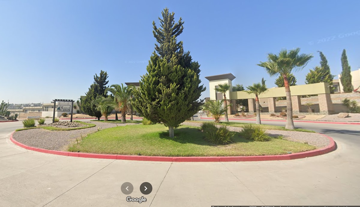 A private residential entrance is depicted, featuring a circular driveway lined with neatly trimmed palm trees and tall green conifers. A landscaped area is visible at the center, complemented by decorative rocks and manicured grass under clear blue skies.