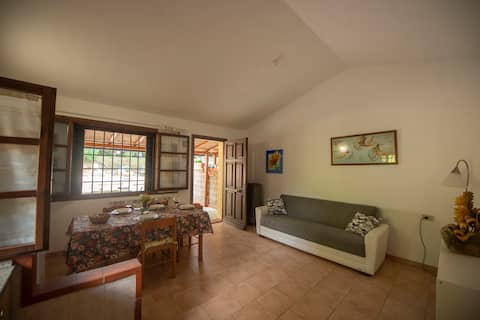 Successful Airbnb property: I Limoni Vacation Home in Guardistallo