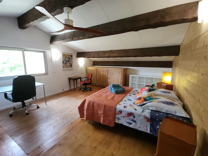 Ოთახი „მარგარიდა“ მდებარეობს პირველ სართულზე, სამხრეთ მხარეს. Ის დიდია, აქვს 160 საწოლი, სამუშაო მაგიდა, სათავსოები და ჭერის ვენტილატორი.