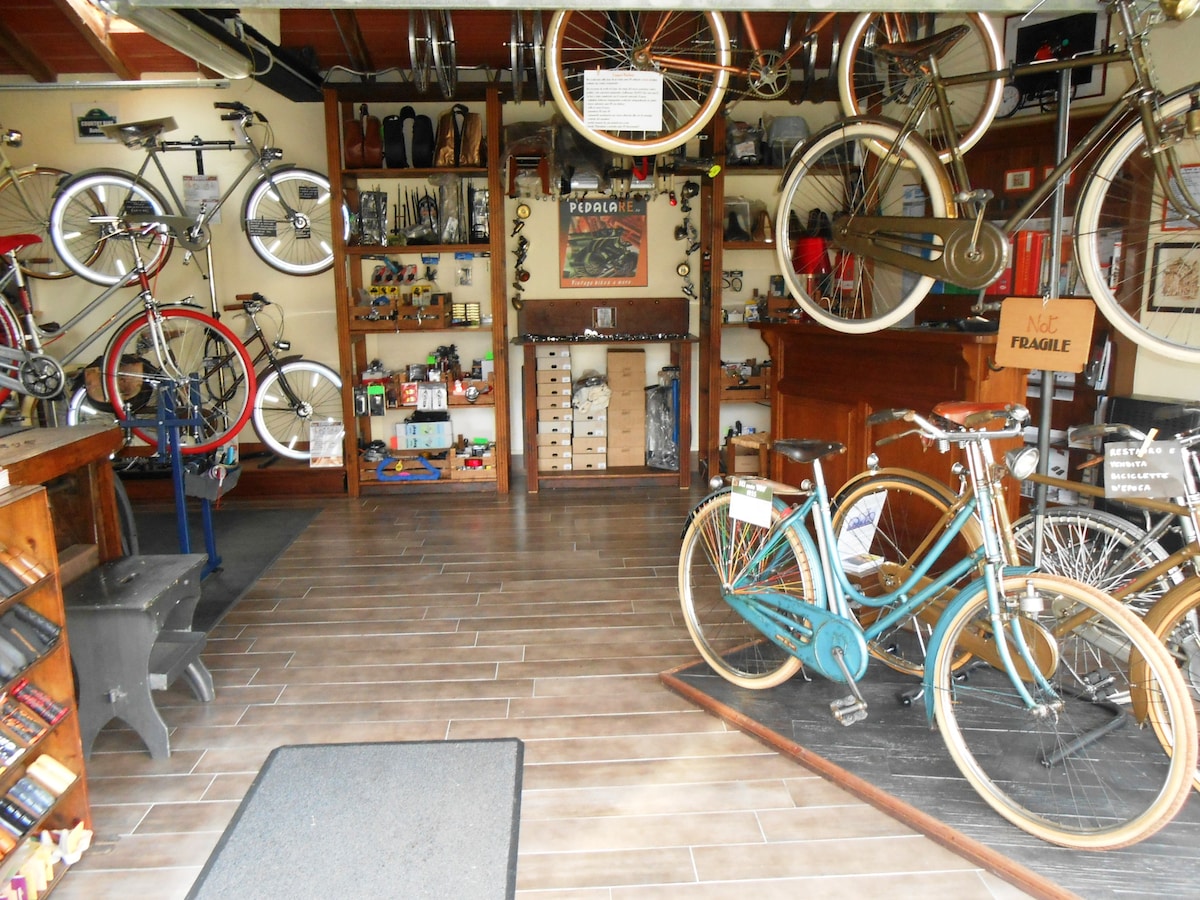 A bicycle workshop is filled with vintage bicycles displayed on walls and in the foreground. A wooden counter is visible, accompanied by various tools and accessories organized on shelves. The flooring is tiled, creating a clean and functional workspace.