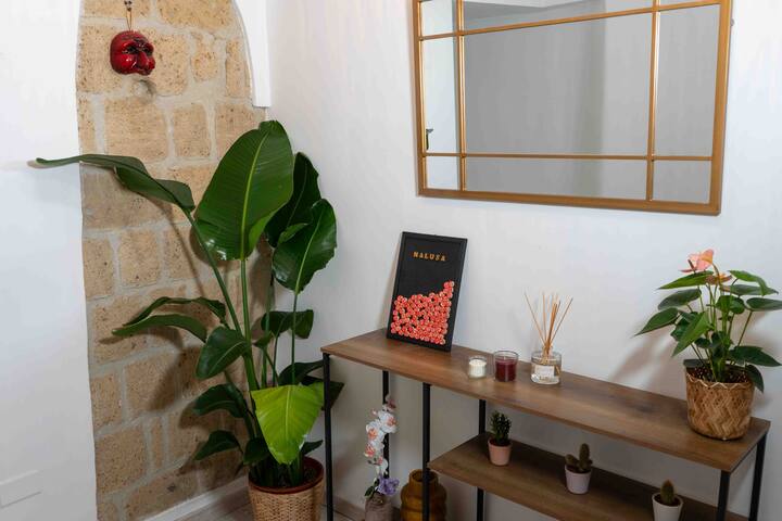 NaLUSA Excutive Appartamento in centro a Toledo gallery image 3