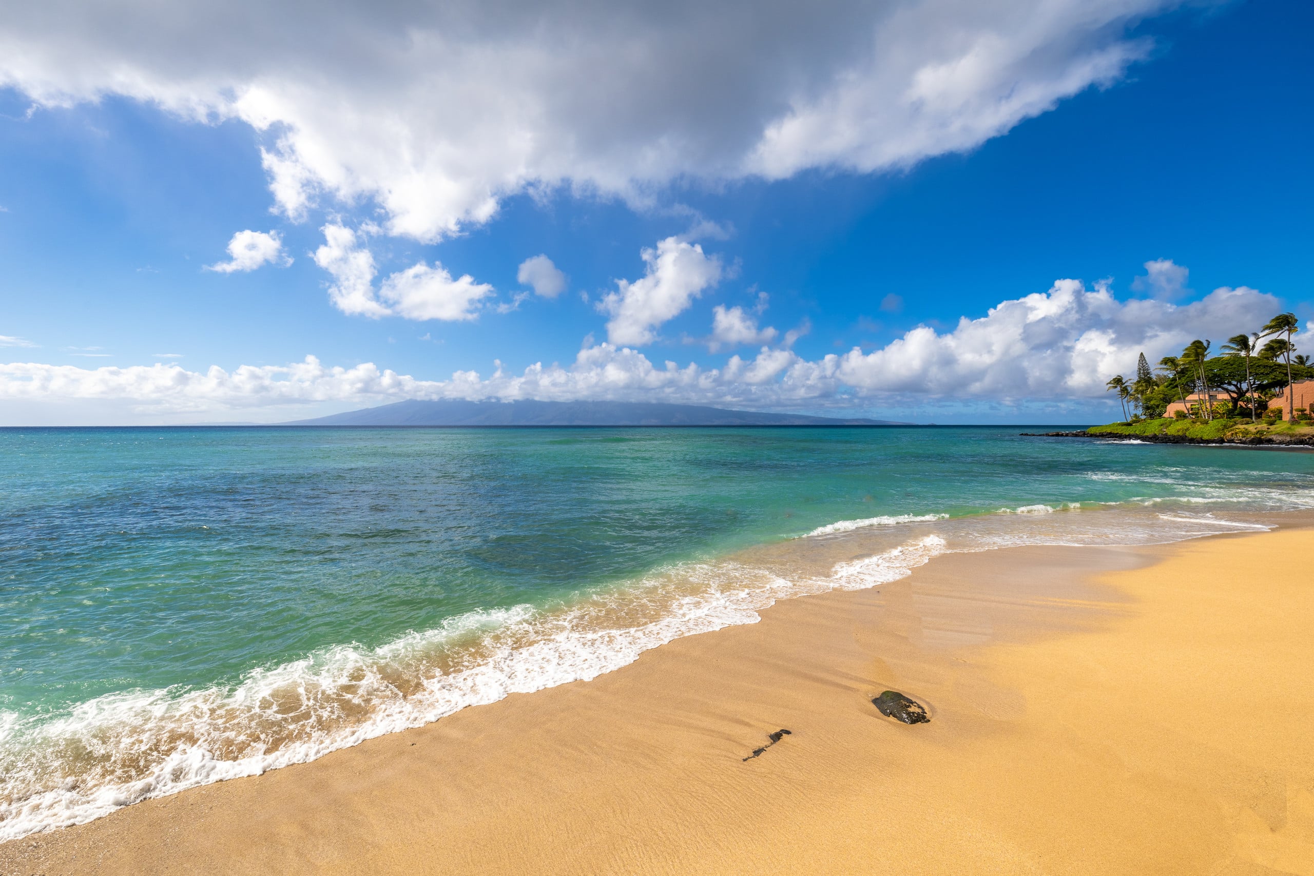 Condo in Lahaina · ★4.94 · 1 bedroom · 2 beds · 1 bath - Image 6