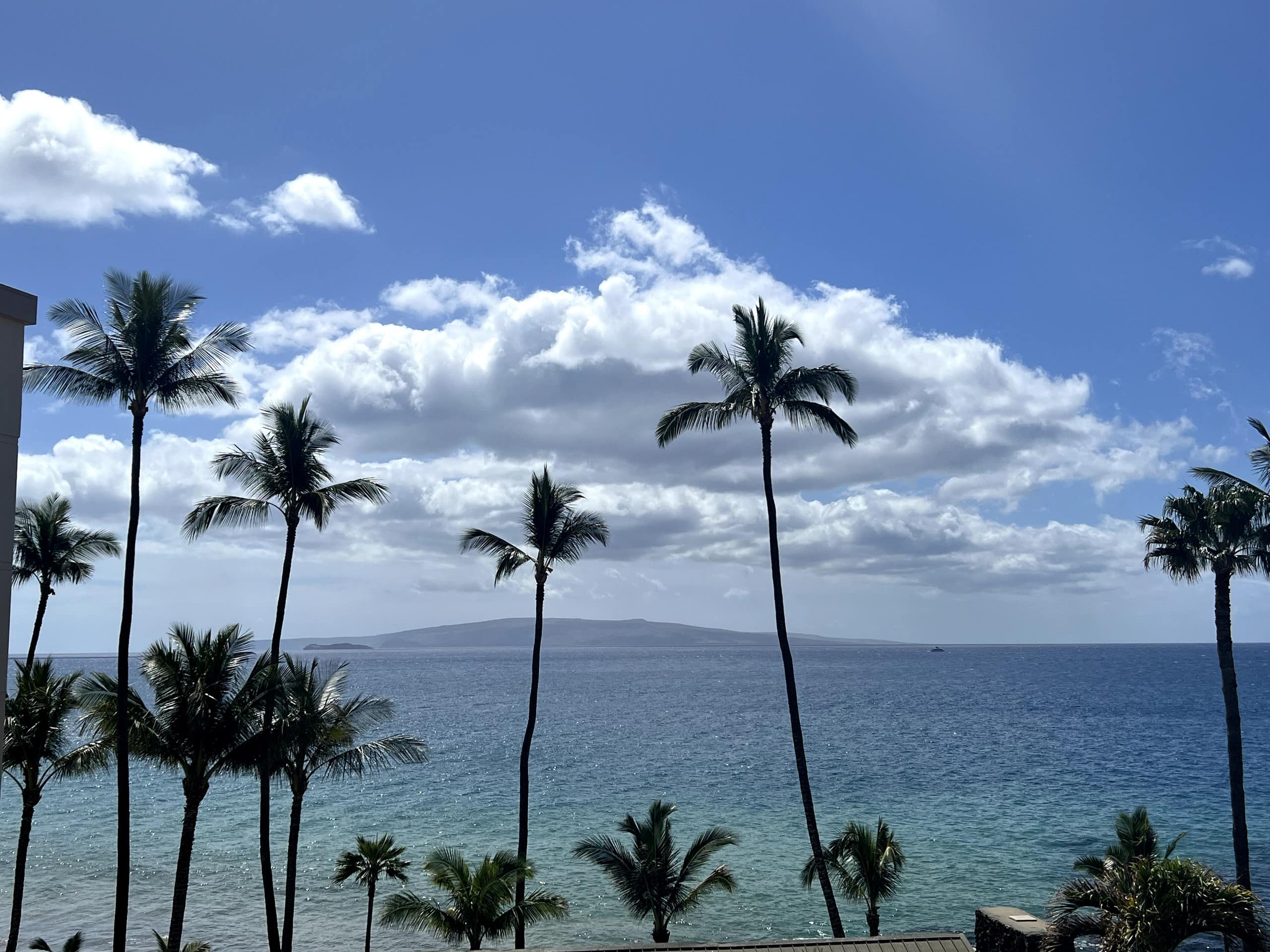 Condo in Kihei · ★4.78 · 2 bedrooms · 3 beds · 2 baths - Image 24