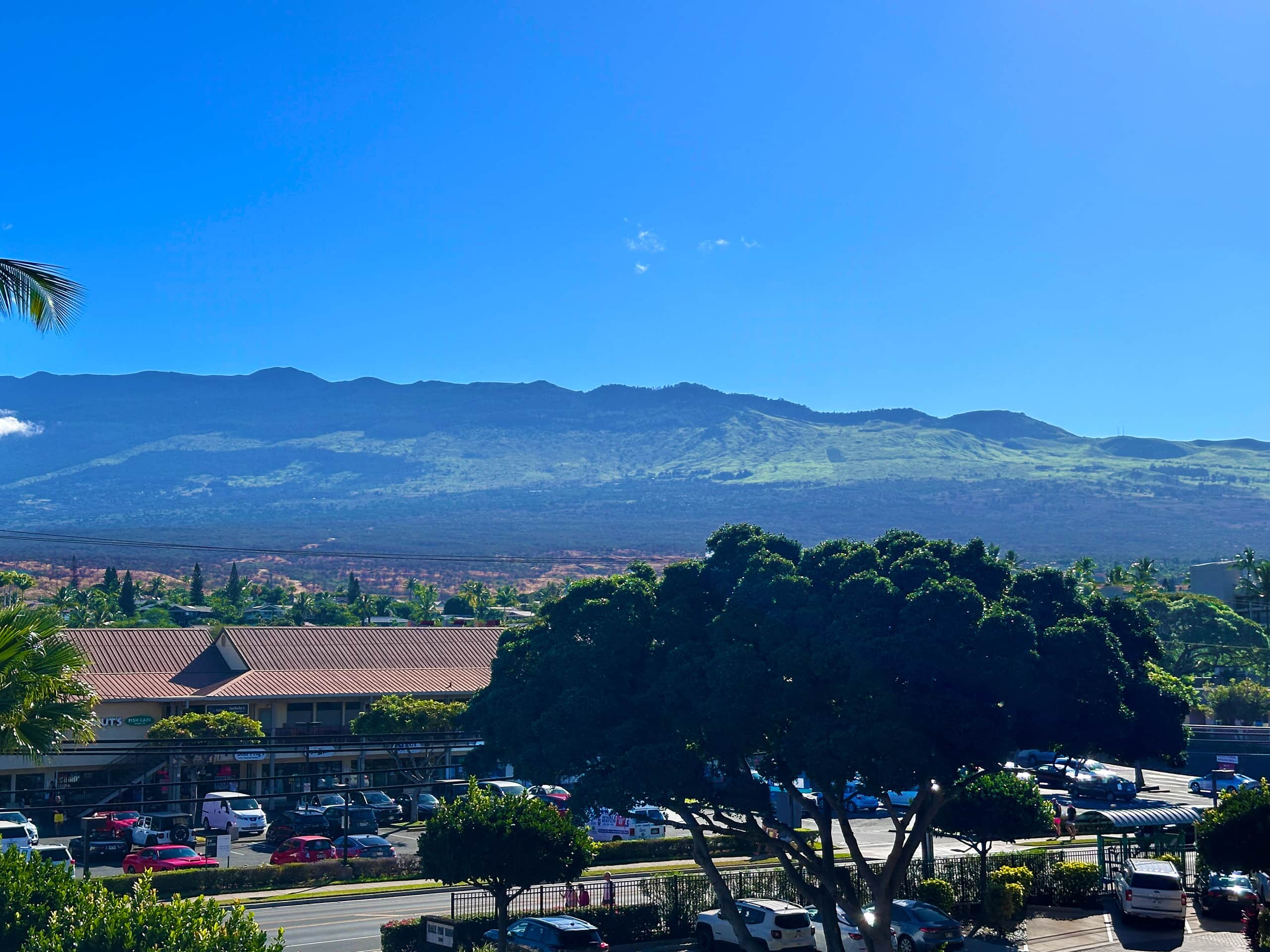 Condo in Kihei · ★4.78 · 2 bedrooms · 3 beds · 2 baths - Image 23