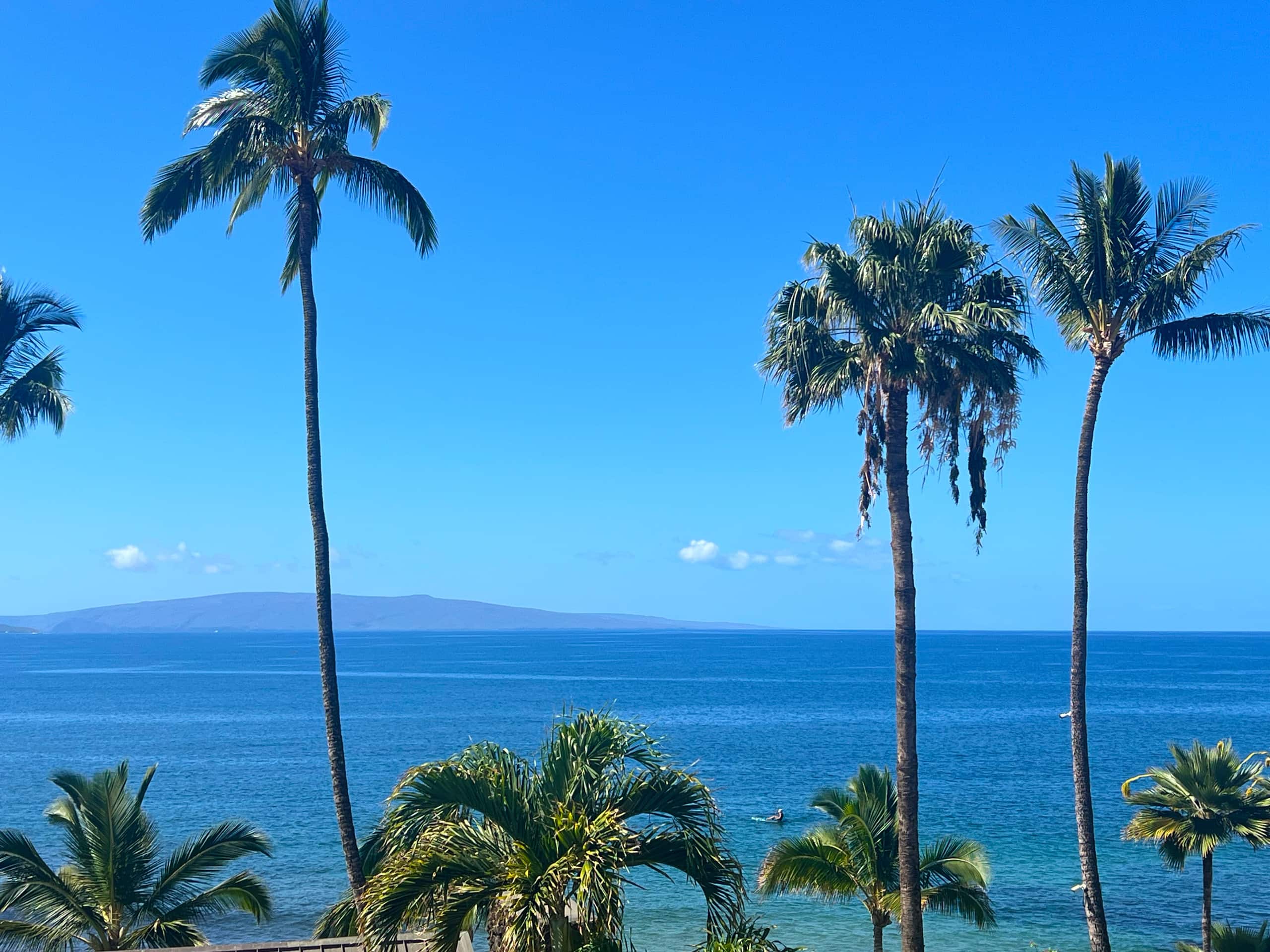 Condo in Kihei · ★4.78 · 2 bedrooms · 3 beds · 2 baths - Image 42