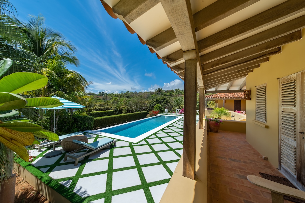 A serene outdoor area is highlighted, featuring a clear blue pool surrounded by neatly arranged green grass. Lounge chairs are positioned for relaxation under the sun, with lush greenery and tropical plants enhancing the tranquil environment. A covered terrace provides a view of the pool and landscape.
