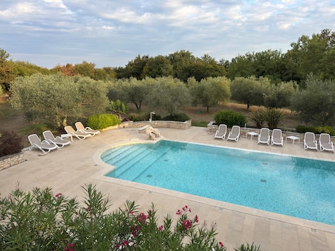 Apartment "Yellow" by the pool olive garden view