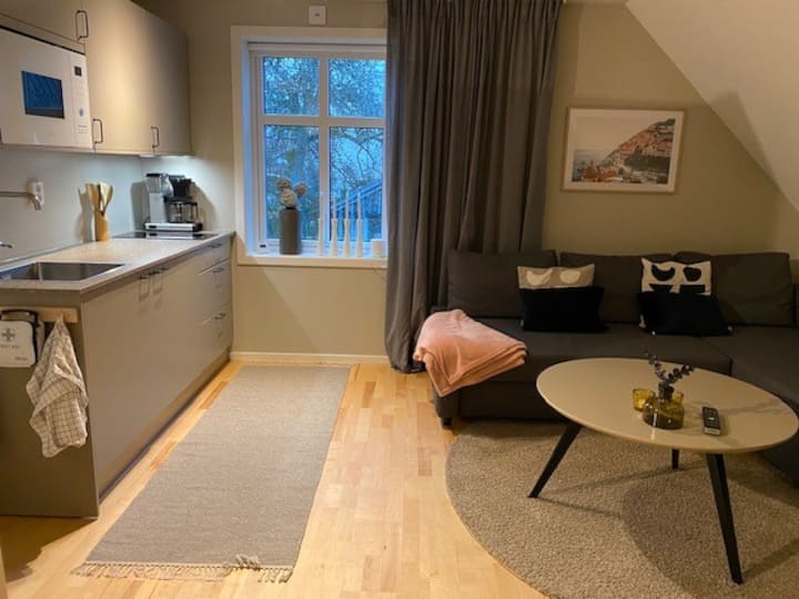 Lägenhet (Vänster) I Lugnt Centralt Villaområde - Karlstad