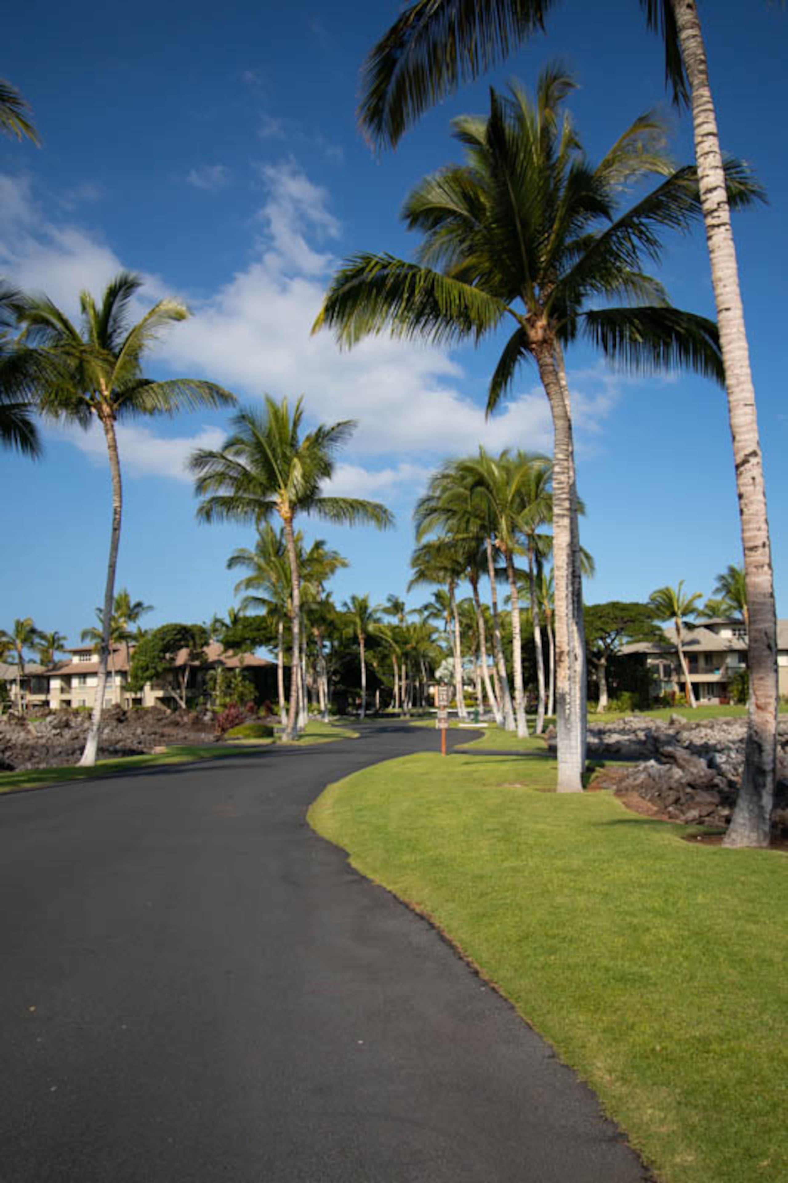 Condo in Waimea · ★5.0 · 3 bedrooms · 4 beds · 3 private baths - Image 47
