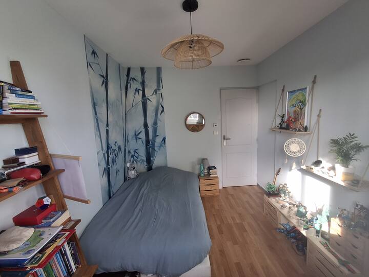 غرفة مراهقنا، مع سرير 120 × 200. إطلالة على الحديقة الأمامية. عاشق المانغا، سيتم تقديمك في مكتبته ؛)