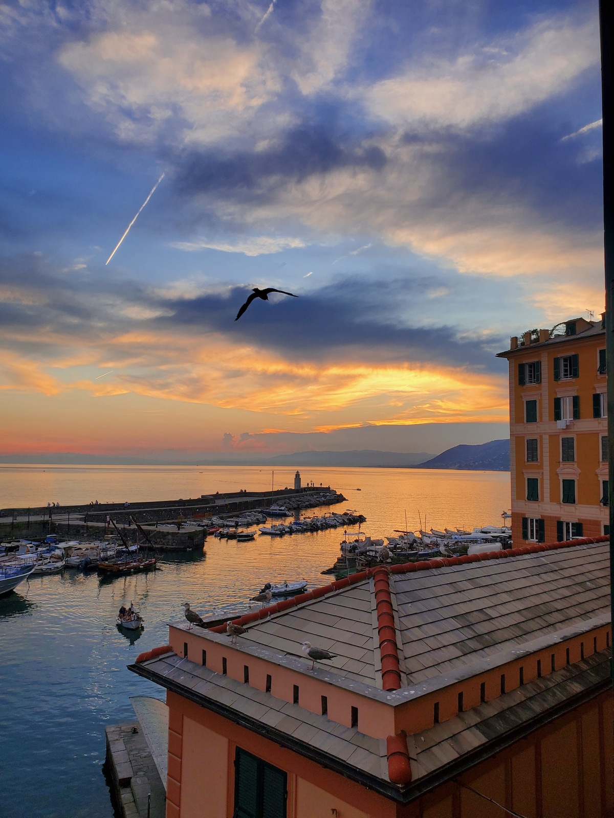 A scenic view of the harbor features calm waters reflecting a sunset sky filled with clouds and a distant bird in flight. Boats are anchored near the dock, while colorful buildings frame the scene, highlighting the serene coastal atmosphere.