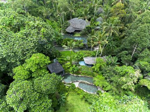 Thermae of Ubud - The Glass Nest