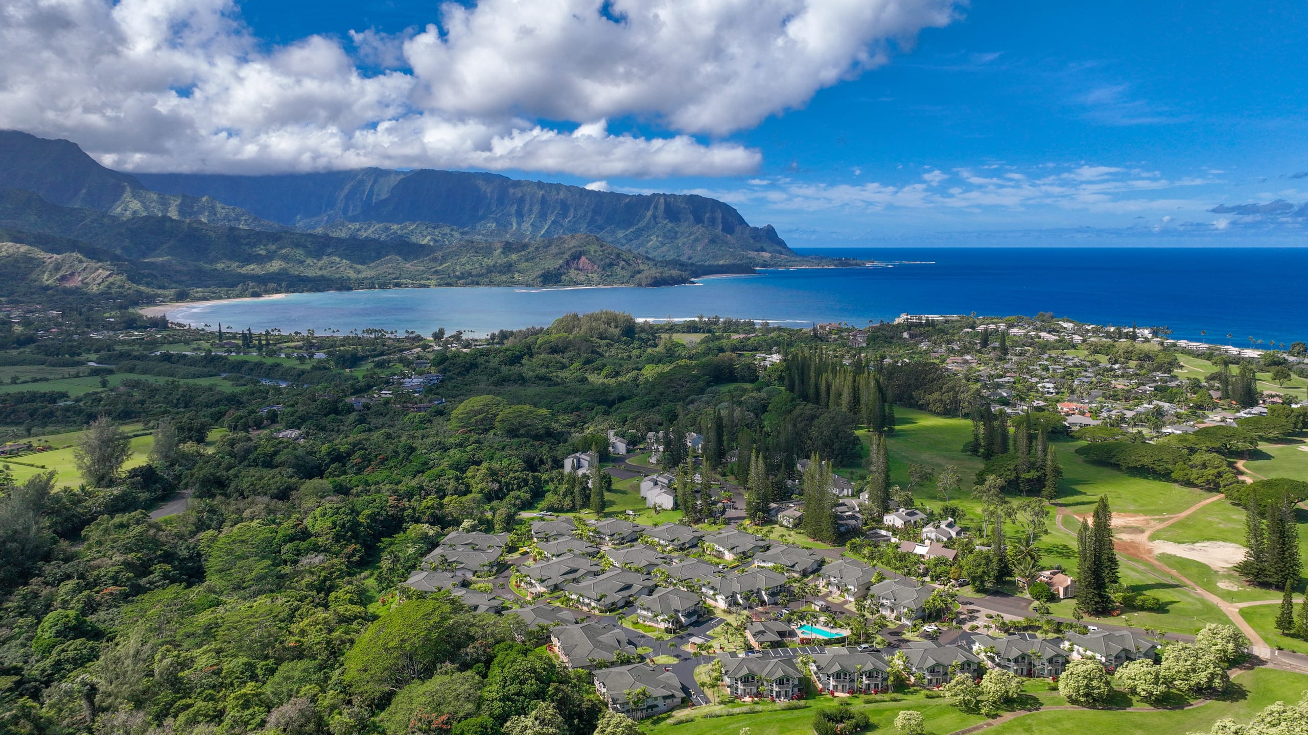Beautiful Luxury Air Conditioned Apartment, Kauai - Image 20