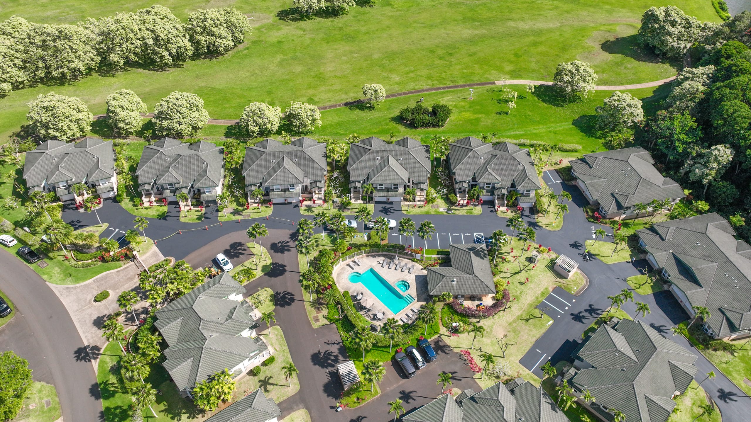 Beautiful Luxury Air Conditioned Apartment, Kauai - Image 5
