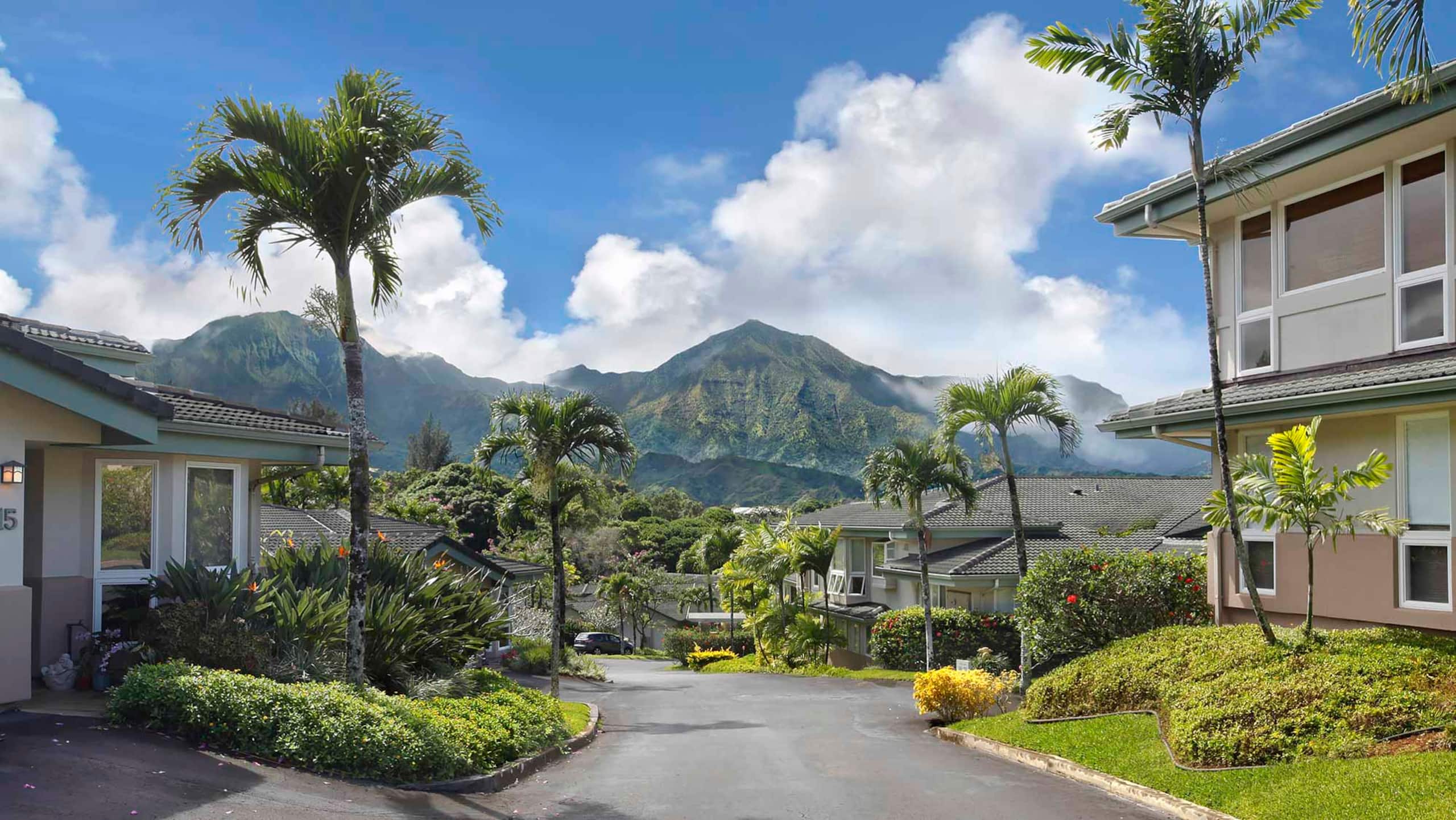 Beautiful Luxury Air Conditioned Apartment, Kauai - Image 29