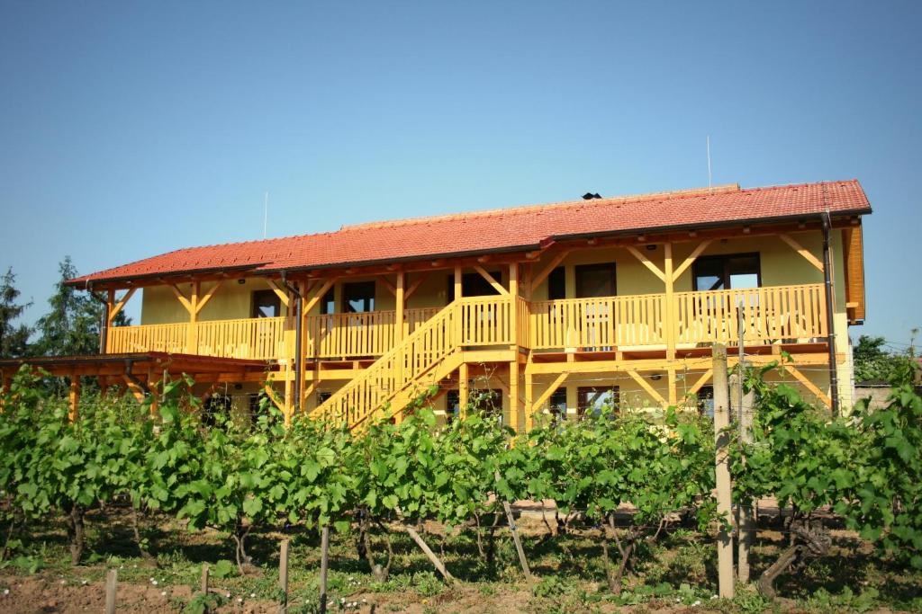 A two-story structure with a welcoming yellow exterior and a red tiled roof is surrounded by lush vineyards. Sturdy wooden balconies and railings enhance the building, with stairs providing access to the upper level. Clear blue skies provide a bright backdrop.