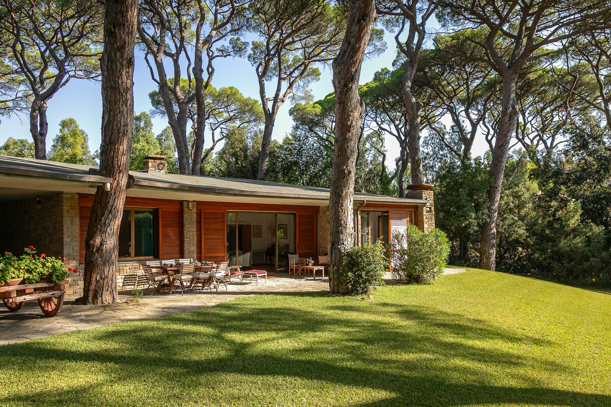 The villa's exterior is framed by tall pine trees, creating a serene environment. A spacious patio area features wooden furniture arranged for relaxation, overlooking a lush green lawn. Large windows allow natural light to illuminate the interior, seamlessly integrating indoor and outdoor spaces.