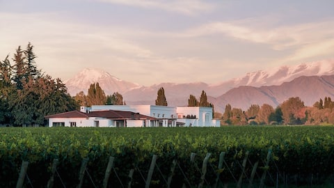 Colonial house near vineyards