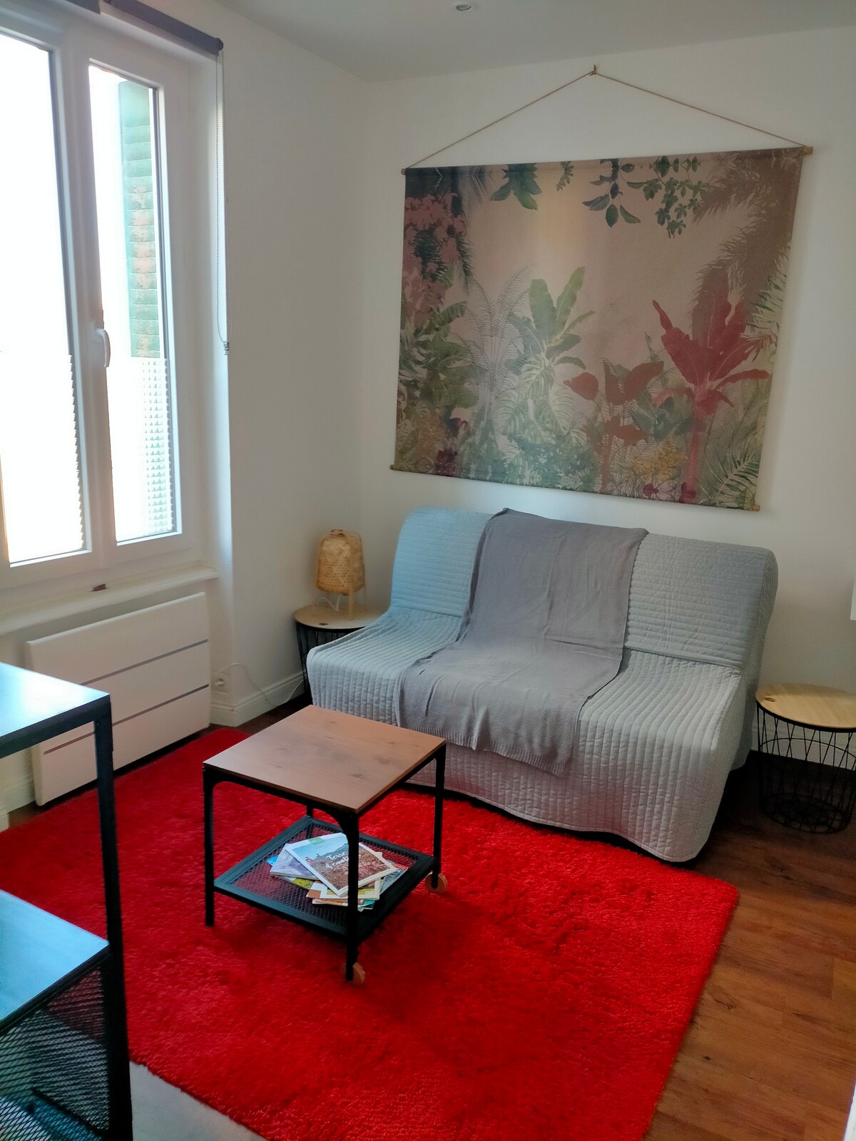 A cozy seating area is presented with a soft gray sofa covered by a light throw. A small wooden coffee table sits atop a vibrant red rug, displaying a selection of magazines. Natural light enters through a window, highlighting the greenery in the decorative wall art.