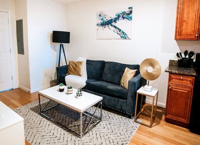 Near Metro & Convention Center, 2 Units