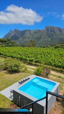 BestPlaceEver – Luxury House with Vineyard Views gallery image 5