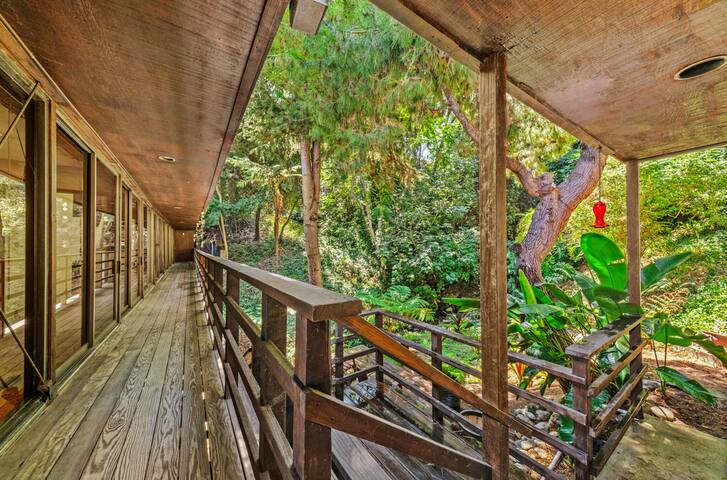 A Forest Home Surrounded by Nature gallery image 4