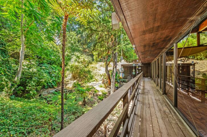 A Forest Home Surrounded by Nature gallery image 2