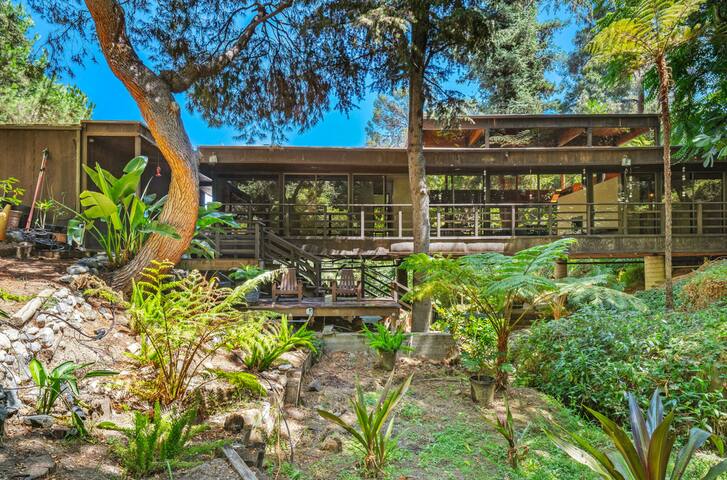 A Forest Home Surrounded by Nature gallery image 5