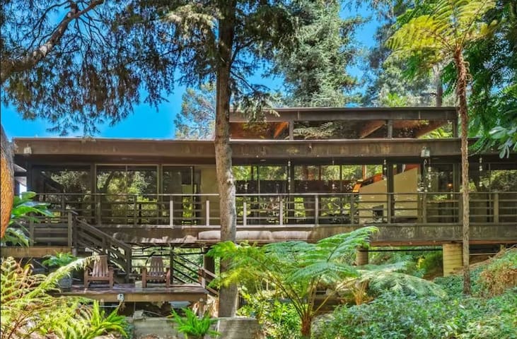 A Forest Home Surrounded by Nature