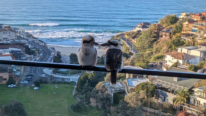 Sub-Penthouse Elegance with Stunning Ocean View gallery image 2