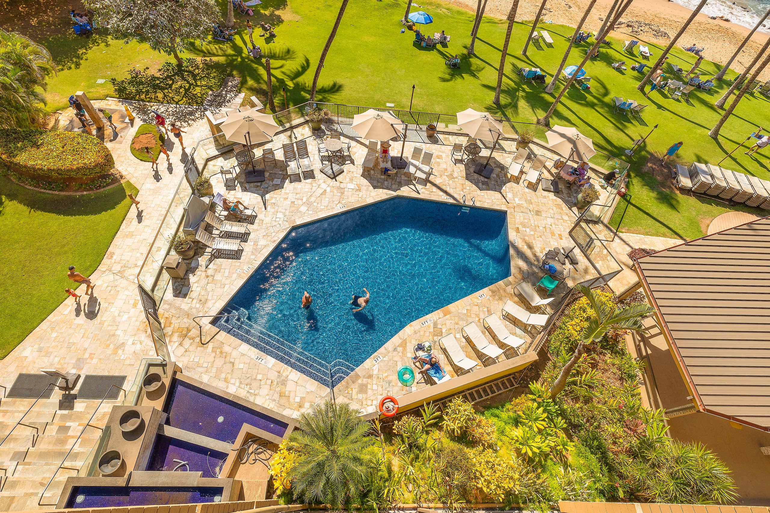 Tropical Oceanfront Escape *Pure Elegance* - Image 37